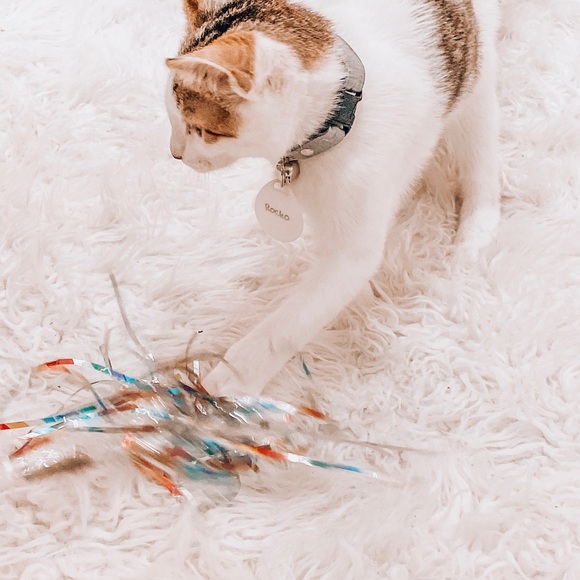 Meet ME ❁ - Picture 3 of 7